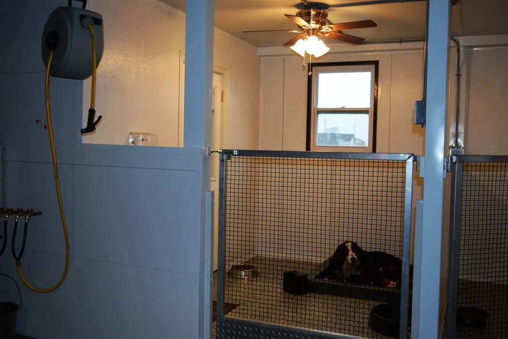 Grace Black Tri-color Female Dog