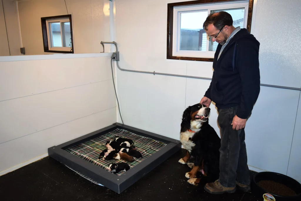 Man and his dog Dixie Black Tri-color Female Dog and her puppies