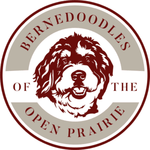 bernedooles logo