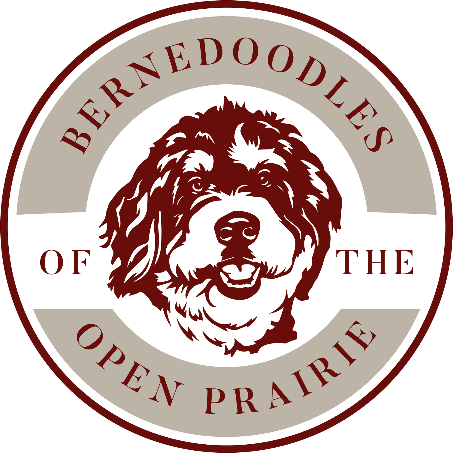 available-bernedoodles-bernedoodles-of-the-open-prairie